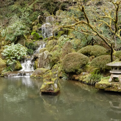 Japanese Garden, Spring 2023