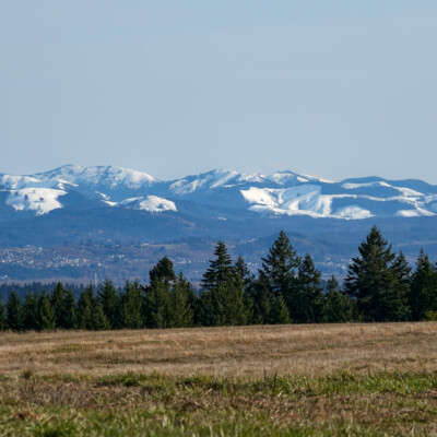 From Powell Butte, Spring 2023