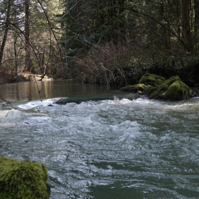 Looking upstream towards the headwaters of Johnson Creek, from Leach Garden.