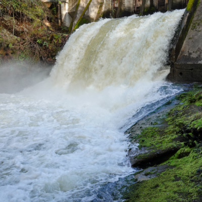 Lacamas Park, Spring 2023