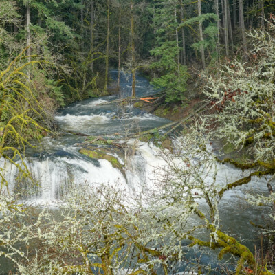 Lacamas Park, Spring 2023