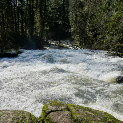 Lacamas Park, Spring 2023