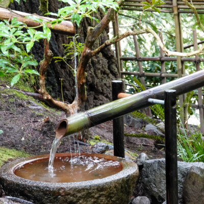 Japanese Garden, Spring 2023