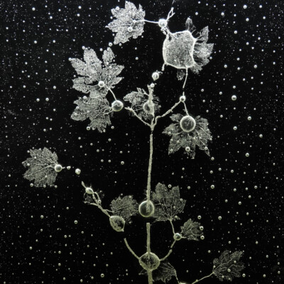 By Rui Sasaki