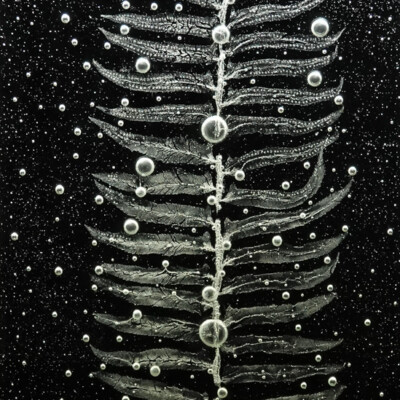 By Rui Sasaki