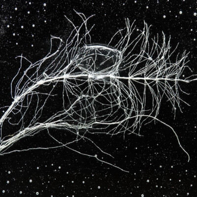 Rui Sasaki exhibition, Japanese Garden, Spring 2023