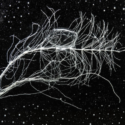 Rui Sasaki exhibition, Japanese Garden, Spring 2023