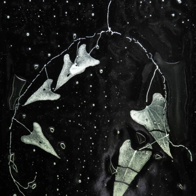 Rui Sasaki exhibition, Japanese Garden, Spring 2023