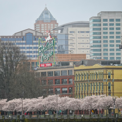 Waterfront from the Steel Bridge, Spring 2023