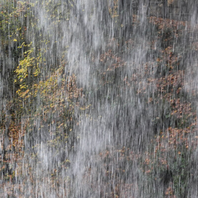 Silver Falls, Fall 2023