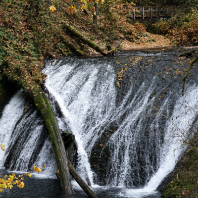 Silver Falls, Fall 2023