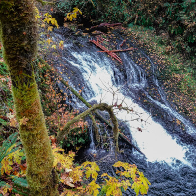 Silver Falls, Fall 2023