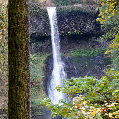 Silver Falls, Fall 2023