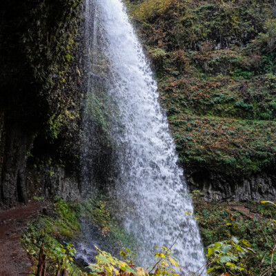Silver Falls, Fall 2023