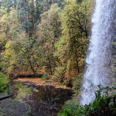 Silver Falls, Fall 2023
