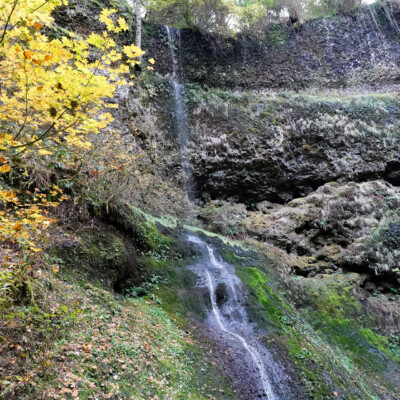 Silver Falls, Fall 2023