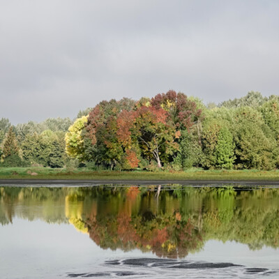The beginning of fall colors, Vanport, Fall 2023