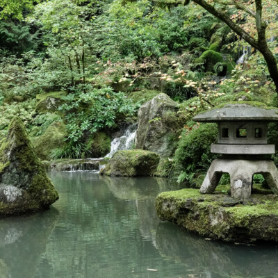 Portland Japanese Garden, Fall 2023 Japanese Garden, 10/20/23