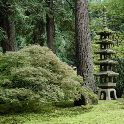 Japanese Garden, 10/20/23