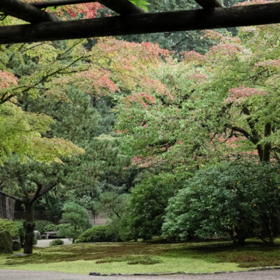 Portland Japanese Garden, Fall 2023 Japanese Garden, 10/20/23