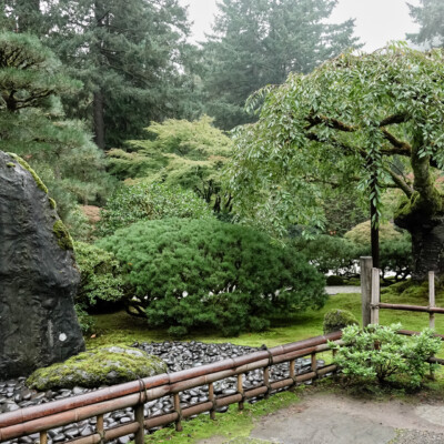 Portland Japanese Garden, Fall 2023 Japanese Garden, 10/20/23