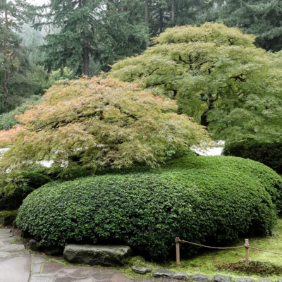 Flat Garden, 10/20/23 Japanese Garden, 10/20/23