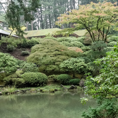Portland Japanese Garden, Fall 2023 Japanese Garden, 10/20/23