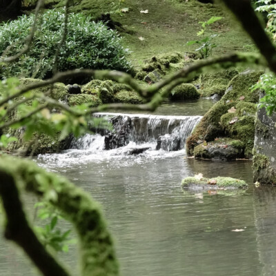 Japanese Garden, 10/20/23