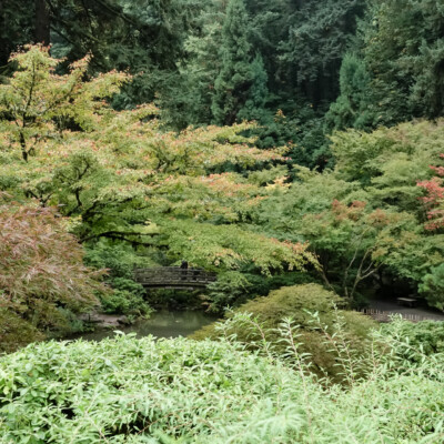 Moon Bridge, 10/27/23 Japanese Garden, 10/20/23