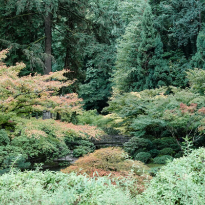 Portland Japanese Garden, Fall 2023
