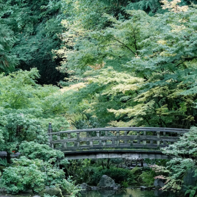 Portland Japanese Garden, Fall 2023