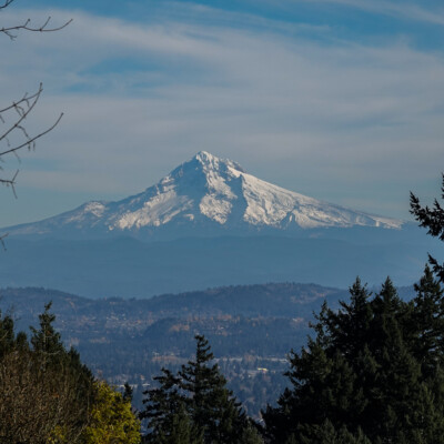 Mt. Hood, from Council Crest, Fall 2023