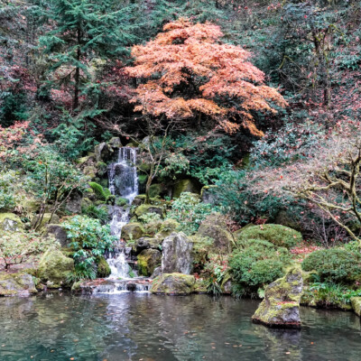 Japanese Garden, Fall, 2023