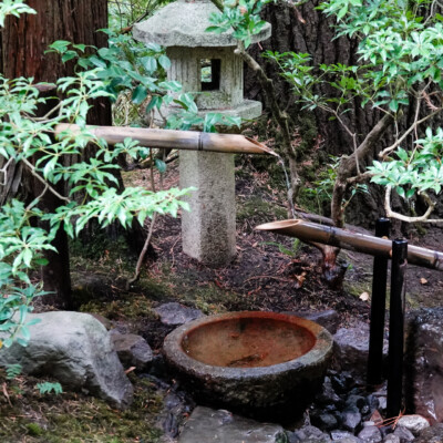 A sozu in its shady spot. Scares away deer, attracts photographers.