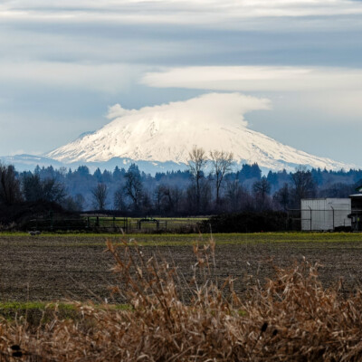Mt. St. Helens, Vancouver Lake Lowlands, Winter 2023-24