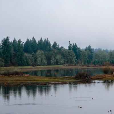 Tualatin National Wildlife Refuge, Winter 2023-24 Tualatin River National Wildlife Refuge,Winter 2023-24