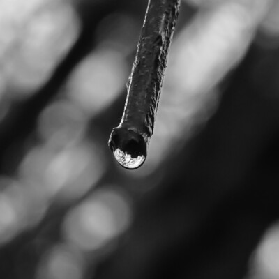 Tualatin National Wildlife Refuge, Winter 2023-24 Tualatin River National Wildlife Refuge,Winter 2023-24