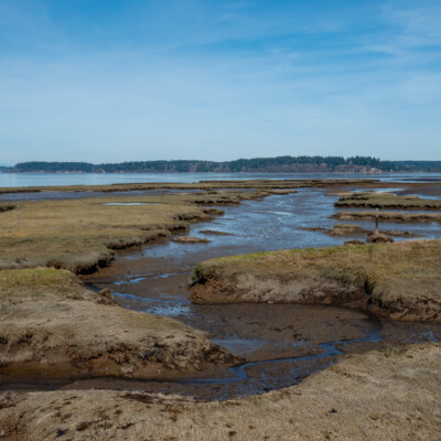 Billy Frank Jr. Nisqually NWR, Olympia, WA