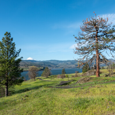 Columbia River Gorge from Catherine Creek, Spring 2024
