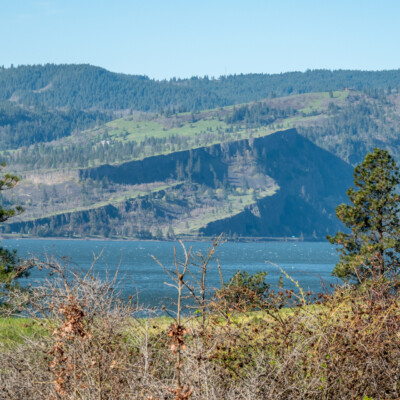 Another view across the Columbia River, from Catherine Creek, Washington, Spring 2024