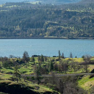 The Columbia River, from Catherine Creek, Spring 2024