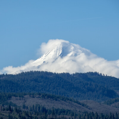 Mt. Hood veiled in clouds, from Catherine Creek, Spring 2024 Later, some of the clouds had blown off the mountain.