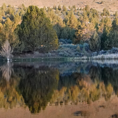 The pond by our cabin at sunrise, at Summer Lake