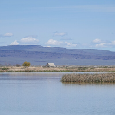 Summer Lake, with the Old Barn