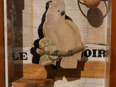 Joseph Cornell, Juan Gris Cockatoo No. 4