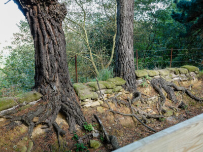 Sandbags over the trenches at the battle site on Mirador de Artxanda, BIlbao, Spain, 2024
