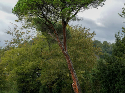 Another form in space, at Chillida Leku, outside of San Sebastián.