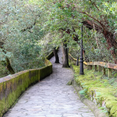 A path through the botanic garden on Isla de Chacharramendi, in the Urdaibai Biosphere Reserve near Bilbao, Spain.