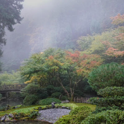 Japanese Garden, Oct.24, 2024