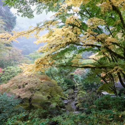 Japanese Garden, Oct.24, 2024